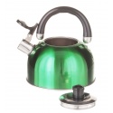 Чайник 1329  2,5л цветной  