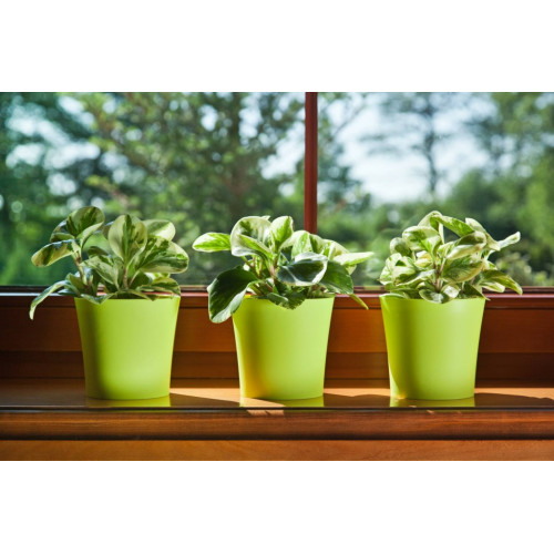 Вазон Фиалка Ламела 145