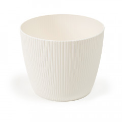 Вазон Магнолия Джампер 140