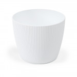 Вазон Магнолия Джампер 110