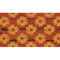 Килимок гума K-602-102 принт 45х75