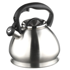 Чайник 1374  3,0л кольоровий