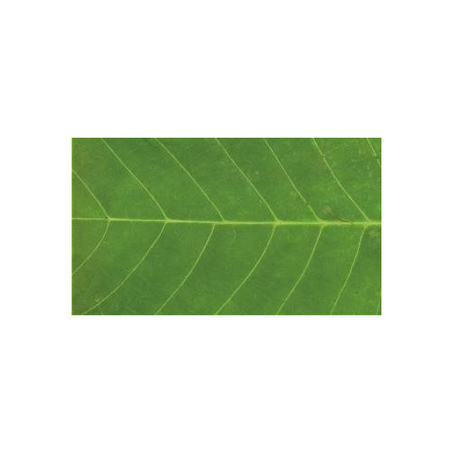 Килимок гума K-603-47 принт 90х60