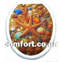 Сиденье для унитаза BA-410 с рисунком Ракушки