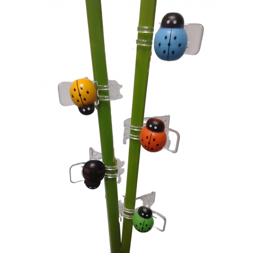 Зажим для орхидеи Божья коровка