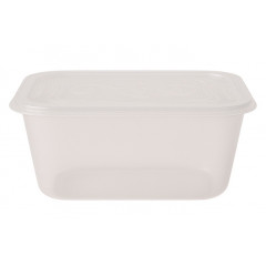 Контейнер Пікнік 0,70л з кришкою 71105 2