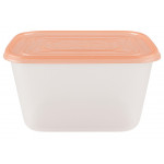 Контейнер Пикник 4,00л с крышкой 71051