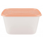 Контейнер Пикник 3,20л с крышкой 71068