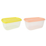 Контейнер Пикник 2,20л с крышкой 71075