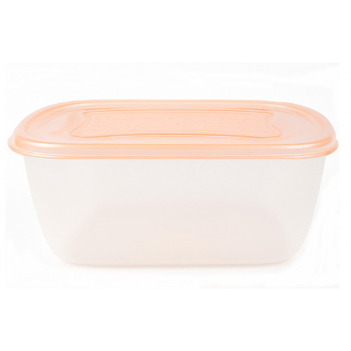 Контейнер Пікнік 2,20л з кришкою 71075