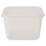 Контейнер Пікнік 1,10л з кришкою 71099