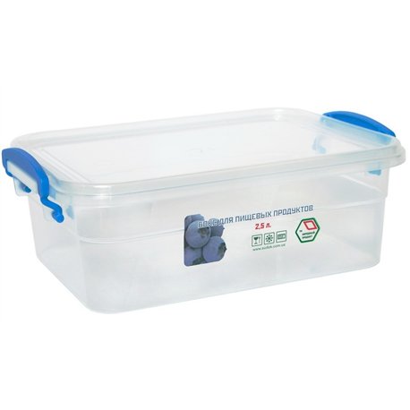 Бокс НП 2,50л №53