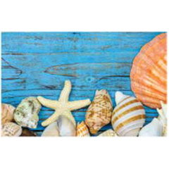 Коврик Таба 57х90 ракушки на голубом