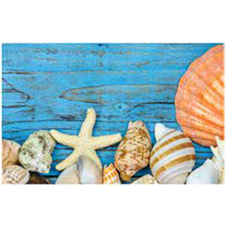 Килимок Таба 50х80 мушлі на блакитному