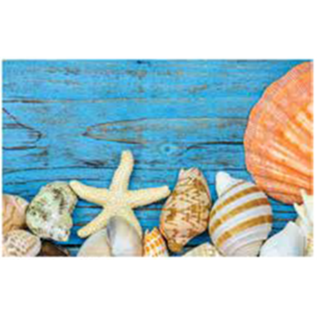 Коврик Таба 50х80 ракушки на голубом 